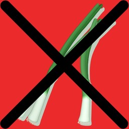 PleaseNoAlliums.1024x1024.png 13-36-07-123